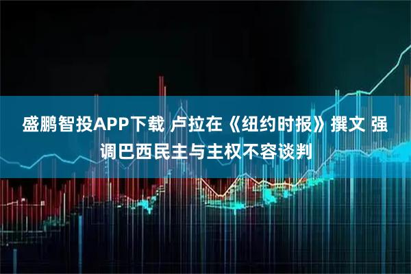 盛鹏智投APP下载 卢拉在《纽约时报》撰文 强调巴西民主与主权不容谈判